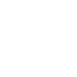 LION POWER
