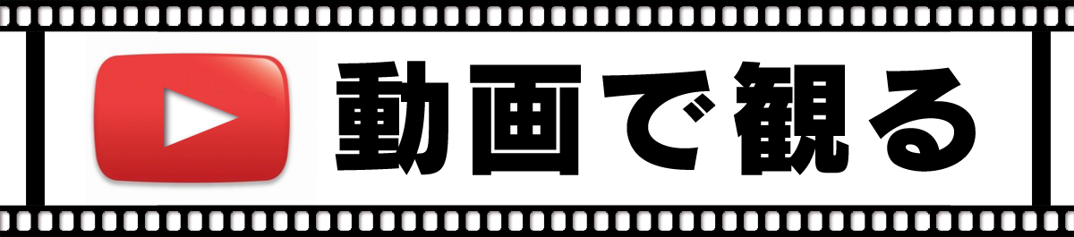 LU-1000を動画で観る